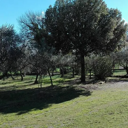 Apartament Gelsomina Bettona
